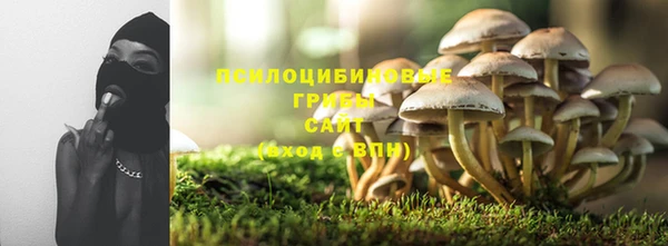 трава Беломорск