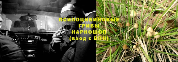таблы Белокуриха